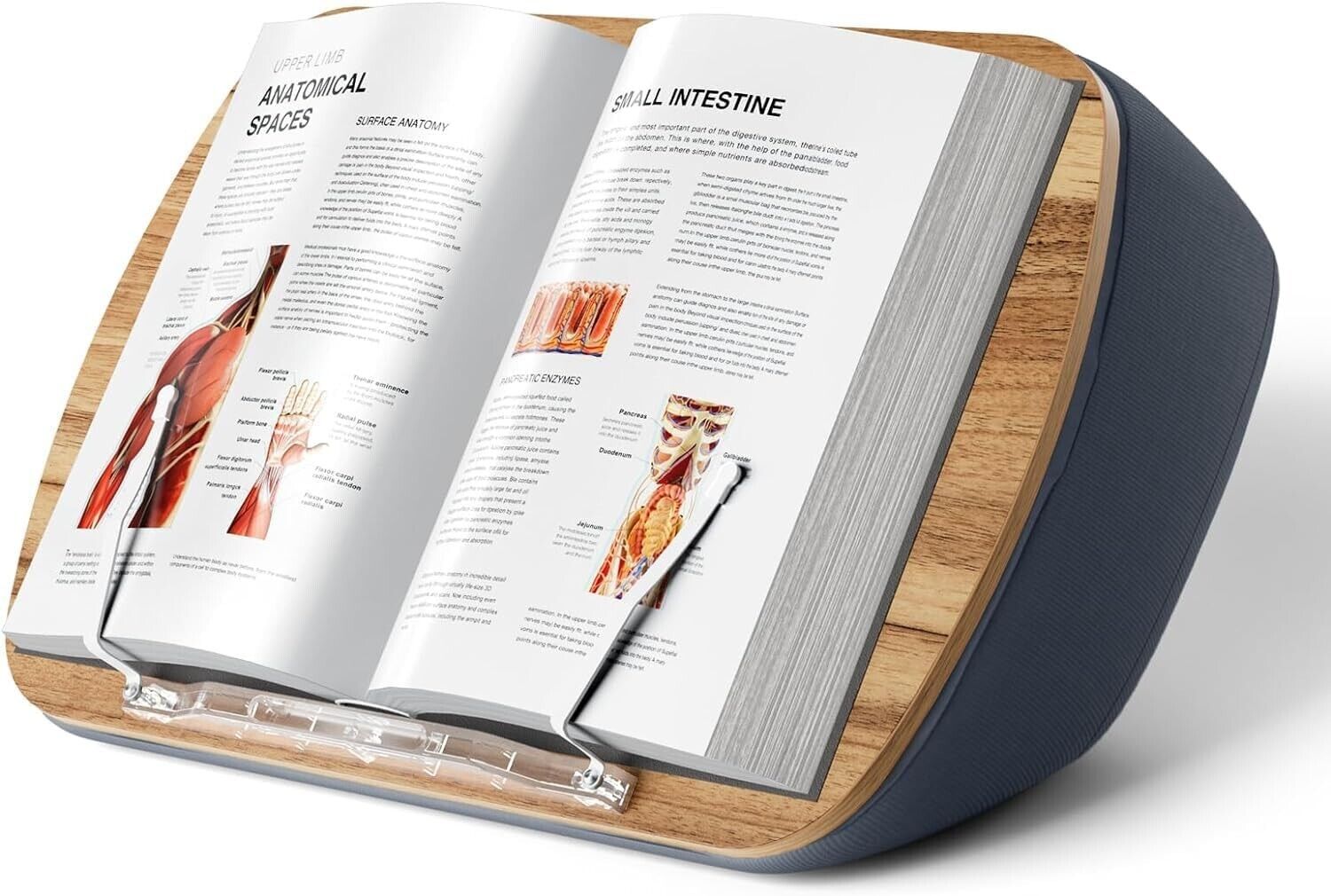 Lap Beanbag Book Stand for Reading, Comfortable Pillow Book Holder for Sofa