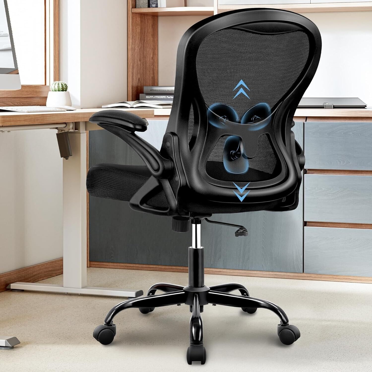 Winrise Office Chair Ergonomic Desk Chair