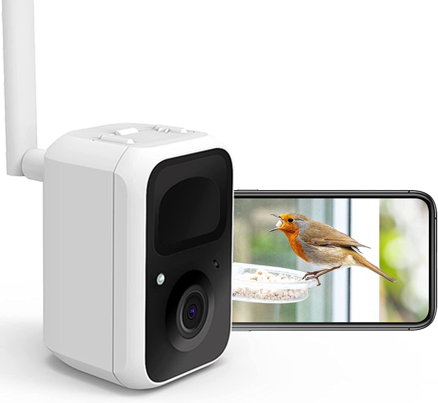 Smart Bird Feeder Camera NETVUE Birdfy